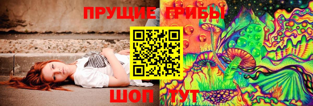купить наркотик  Вход с VPN  Псилоцибиновые грибы Psilocybine cubensis  Свободный  Псилоцибиновые грибы ЛСД 