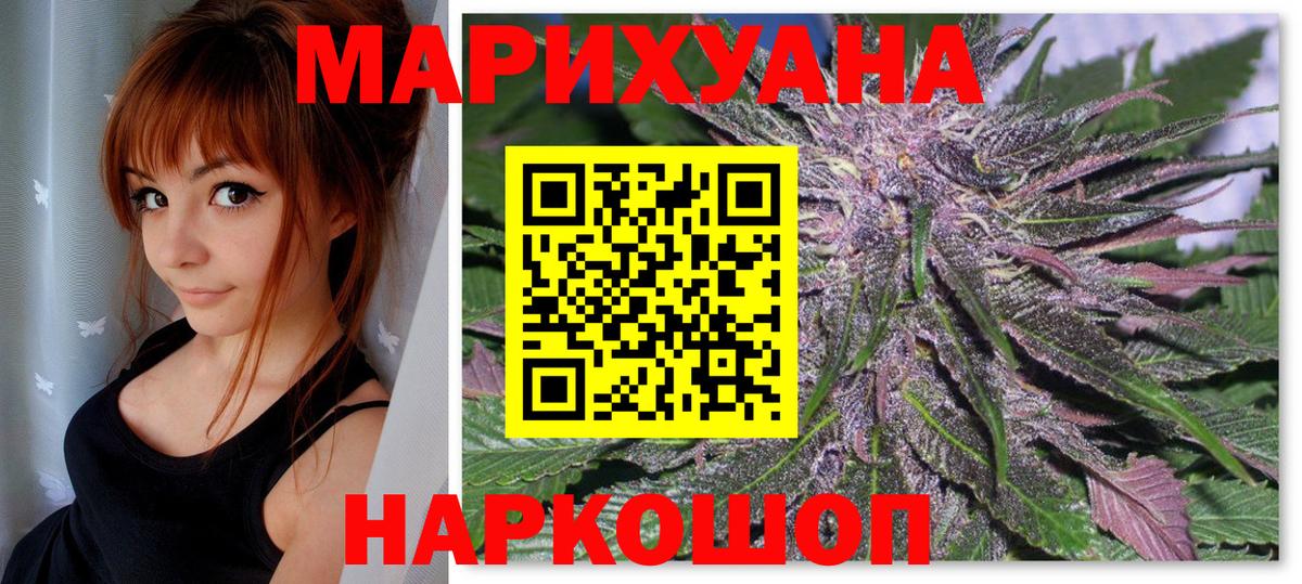Конопля сатива Свободный